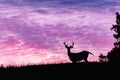 White Tailed Deer Silhouette in Roosevelt National Park Royalty Free Stock Photo