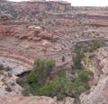 Early Summer in Utah: View from Big Spring Canyon Overlook in the Needles District of Canyonlands National Park Royalty Free Stock Photo