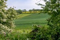 Early summer view of rolling English countryside