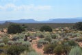 Early Summer in Utah: Looking Across to Salt Wash Canyon and Dry Mesa From Panorama Point in Arches National Park