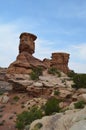 Early Summer in Utah: Rock Formations Seen from the Big Spring Canyon Overlook in Canyonlands National Park Needles District Royalty Free Stock Photo