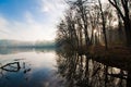 Early sun rays shine through bare tree branches on forest path, reflections on still water surface, beautiful early, misty dawn