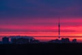 Early sunrise over dark trees in park and city Royalty Free Stock Photo