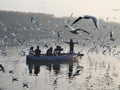 Early sunrise witnessing migratory Russian seagulls at Yamuna ghat, Delhi.