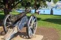 An early 19th Century cannon, now decorating a park