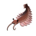Anomalocaris, creature of the Cambrian period, isolated on white background 3d science illustration Royalty Free Stock Photo