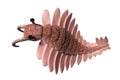 Anomalocaris, creature of the Cambrian period, top view, isolated on white background 3d science illustration Royalty Free Stock Photo