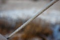 Early winter, cold misty morning, bridge. Royalty Free Stock Photo