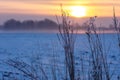 Early winter, cold misty morning - sunrise Royalty Free Stock Photo
