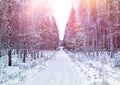 Early winter country road afternoon Royalty Free Stock Photo