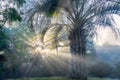 Early winter morning in Uruguay