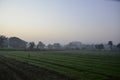 Early winter mornings, dew laden fields and the rising sun.