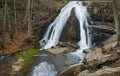 Roaring Run Waterfalls