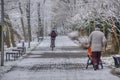 Walk among the hoarfrost