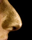 Earn a fortune - golden nose on black background
