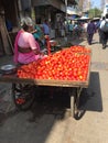 Street Vendors, Vegetable seller. Royalty Free Stock Photo