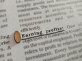 earning profits business related terminology displayed on paper page