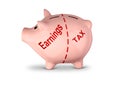 Earnings and tax creative concept, divided piggy bank on white