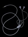 earphones used to listen to music internally