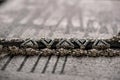 Earrings and choker, jewelry for girls. Jewelry and accessories on black and white background. Fashion and style in grey tones.