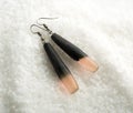 Earrings with Wood and Crystal Royalty Free Stock Photo