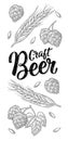 Ears of barley, leaves and cones of hops engraving. Craft Beer lettering.