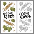 Ears of barley, leaves and cones of hops engraving. Craft Beer lettering.