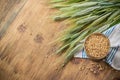 Ears of barley and wheat on the wooden background Royalty Free Stock Photo