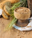 Ears of barley and wheat on the wooden background Royalty Free Stock Photo