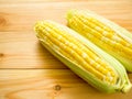 Ears of bicolor sweet corn Royalty Free Stock Photo