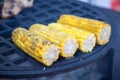 Ears of corn baked on the grill. Selective focus. Royalty Free Stock Photo