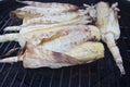 Ears of corn on the grill Royalty Free Stock Photo