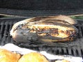 Ears of corn on the grill Royalty Free Stock Photo