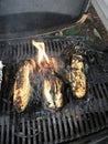 Ears of corn on the grill Royalty Free Stock Photo