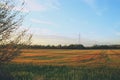 Pylon and cables over a cereal field in April in Paracuellos de Jarama, Spain.