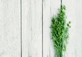 Ears of green stalks of oats on an old white wooden board, copy space. Vintage rustic background Royalty Free Stock Photo