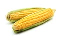 Ears of maize Royalty Free Stock Photo