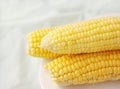 Ears of mature yellow corn on a white plate