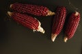 Ears of red maize