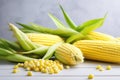 Ears of ripe yellow corn with green leaves and a scattering of grains on a white table. Fresh harvest Royalty Free Stock Photo