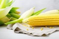 Ears of ripe yellow corn and a scattering of grains on a white table. Fresh harvest Royalty Free Stock Photo