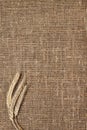 Ears of rye on sacking background Royalty Free Stock Photo