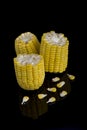 Ears sweet corn isolated on black background