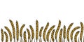 Ears of wheat or barley horizontal seamless border. Hand drawn vector illustration Royalty Free Stock Photo