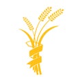 Ears of Wheat, Barley or Rye vector visual graphic icons