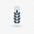 Ears of Wheat, Barley or Rye vector visual graphic icons, ideal for bread packaging, beer labels etc. Stock Vector