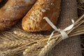 Ears of wheat and bread Royalty Free Stock Photo