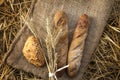 Ears of wheat and bread Royalty Free Stock Photo