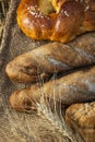 Ears of wheat and bread Royalty Free Stock Photo