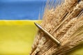 Ears of wheat and a bullet lie on the national flag of Ukraine, yellow and blue, Stop the war in Ukraine and peace to